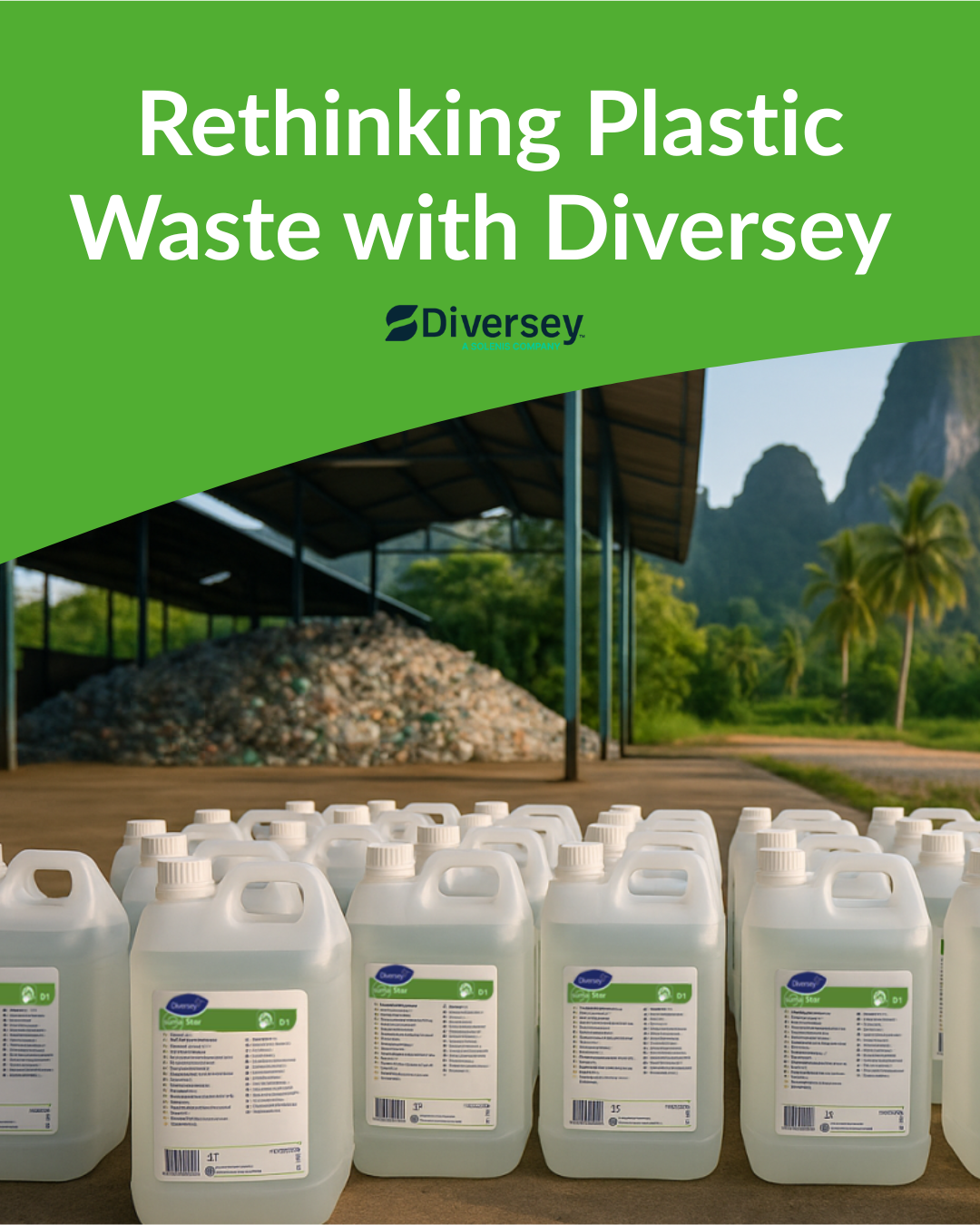 Diversey Partnership